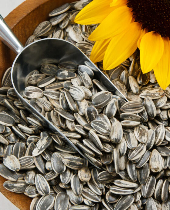 Sunflower seeds