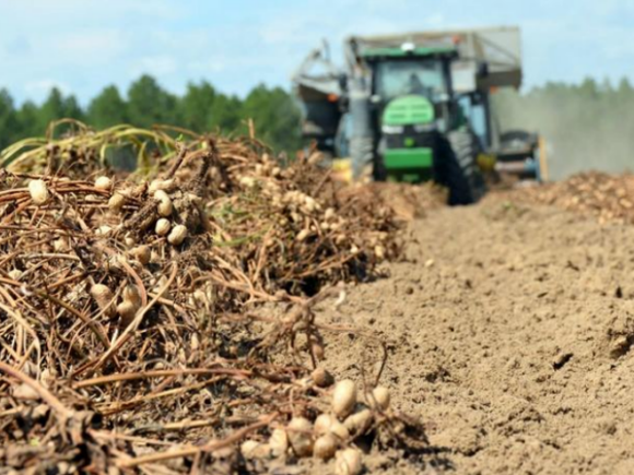 U.S. peanut tour inspires Malawians