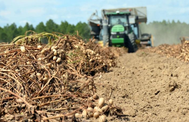 U.S. peanut tour inspires Malawians